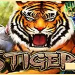 Mengenal Game Slot 5 Tigers di Situs MPOCASH